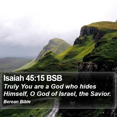 Isaiah 45:15 BSB Bible Verse Image