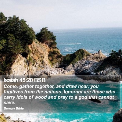 Isaiah 45:20 BSB Bible Verse Image