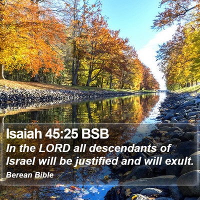 Isaiah 45:25 BSB Bible Verse Image