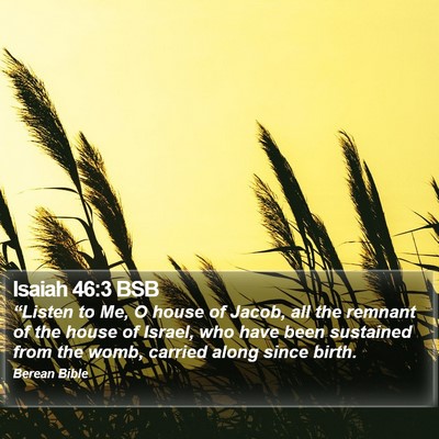 Isaiah 46:3 BSB Bible Verse Image