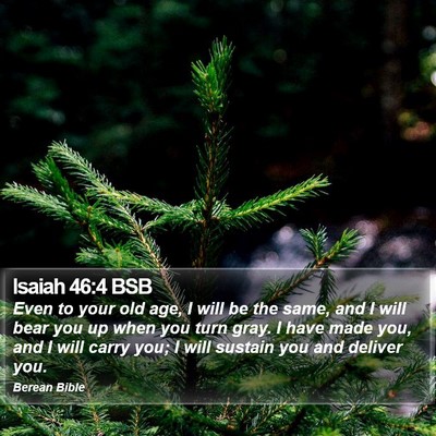 Isaiah 46:4 BSB Bible Verse Image