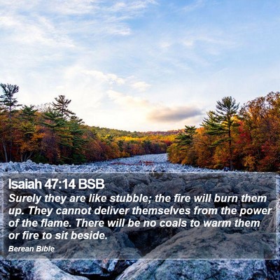 Isaiah 47:14 BSB Bible Verse Image