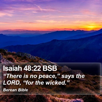 Isaiah 48:22 BSB Bible Verse Image