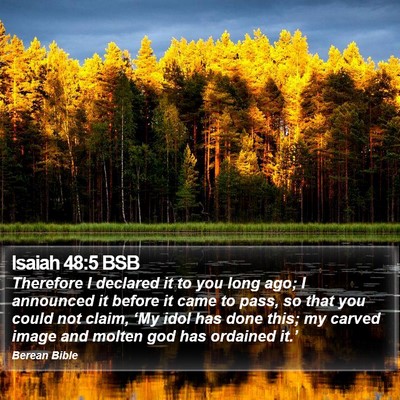 Isaiah 48:5 BSB Bible Verse Image