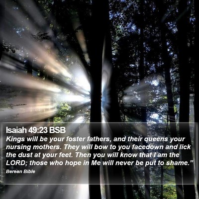 Isaiah 49:23 BSB Bible Verse Image