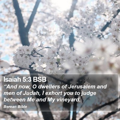 Isaiah 5:3 BSB Bible Verse Image