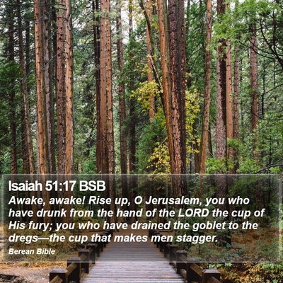 Isaiah 51:17 BSB Bible Verse Image