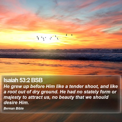 Isaiah 53:2 BSB Bible Verse Image