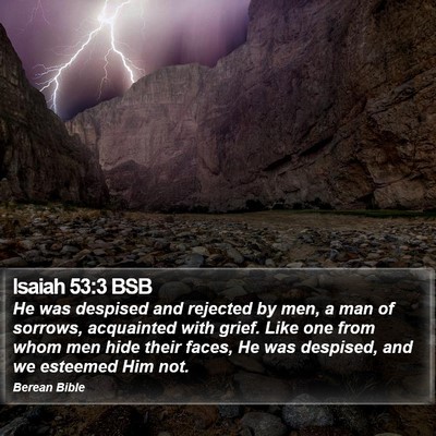 Isaiah 53:3 BSB Bible Verse Image