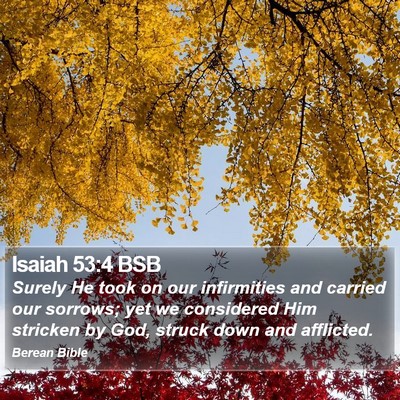 Isaiah 53:4 BSB Bible Verse Image