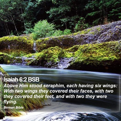 Isaiah 6:2 BSB Bible Verse Image