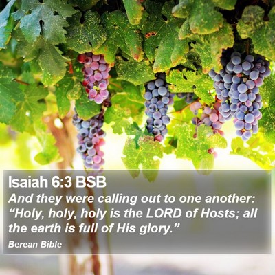 Isaiah 6:3 BSB Bible Verse Image