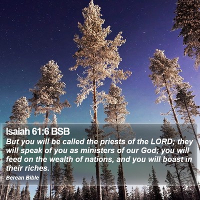 Isaiah 61:6 BSB Bible Verse Image