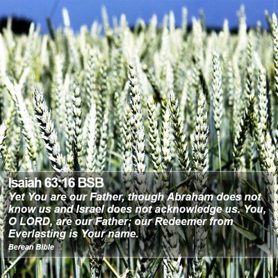 Isaiah 63:16 BSB Bible Verse Image