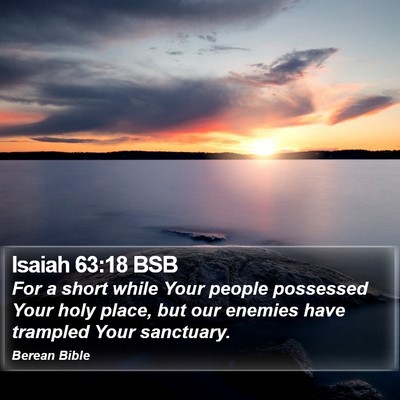 Isaiah 63:18 BSB Bible Verse Image