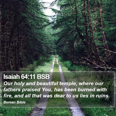 Isaiah 64:11 BSB Bible Verse Image