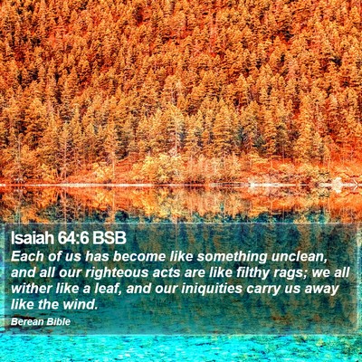 Isaiah 64:6 BSB Bible Verse Image
