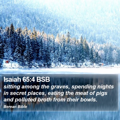Isaiah 65:4 BSB Bible Verse Image