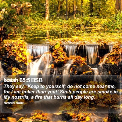 Isaiah 65:5 BSB Bible Verse Image
