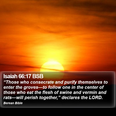 Isaiah 66:17 BSB Bible Verse Image