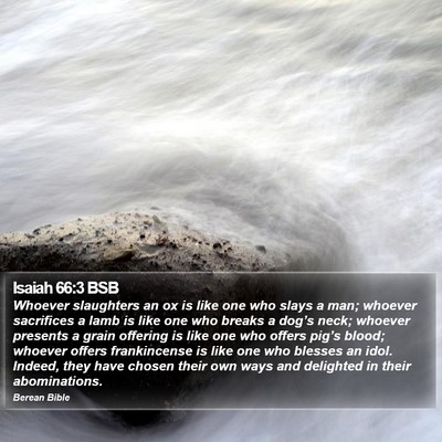 Isaiah 66:3 BSB Bible Verse Image