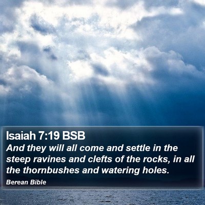 Isaiah 7:19 BSB Bible Verse Image