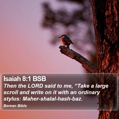 Isaiah 8:1 BSB Bible Verse Image