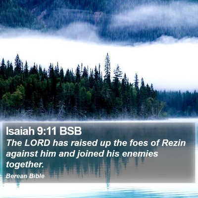 Isaiah 9:11 BSB Bible Verse Image