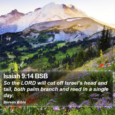 Isaiah 9:14 BSB Bible Verse Image