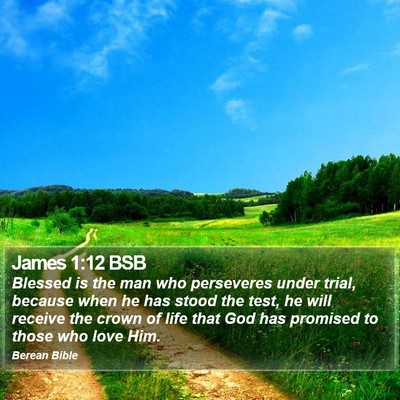 James 1:12 BSB Bible Verse Image