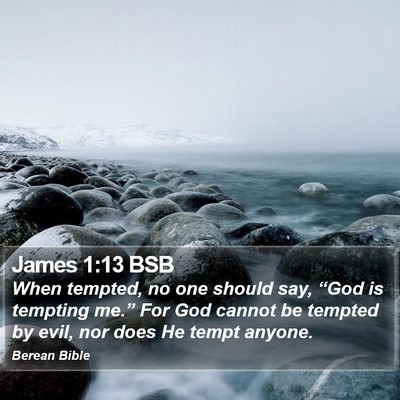 James 1:13 BSB Bible Verse Image