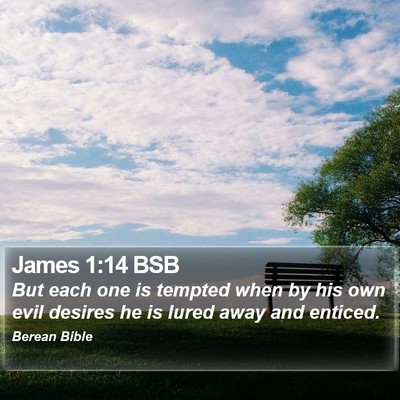 James 1:14 BSB Bible Verse Image