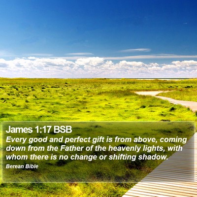 James 1:17 BSB Bible Verse Image