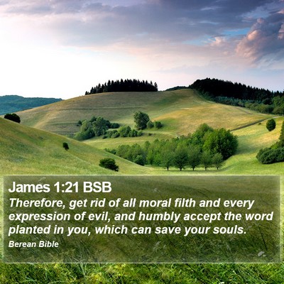 James 1:21 BSB Bible Verse Image