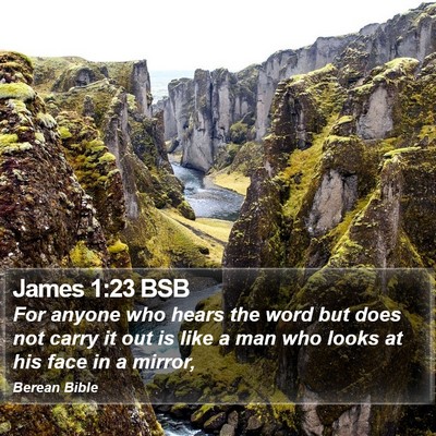James 1:23 BSB Bible Verse Image