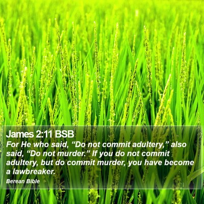 James 2:11 BSB Bible Verse Image