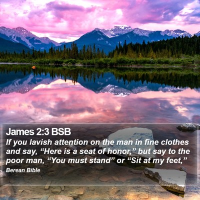 James 2:3 BSB Bible Verse Image