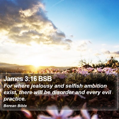 James 3:16 BSB Bible Verse Image