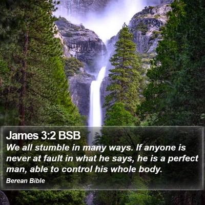 James 3:2 BSB Bible Verse Image