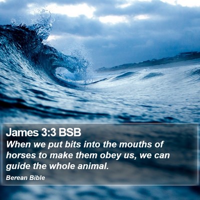 James 3:3 BSB Bible Verse Image