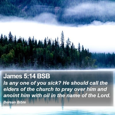 James 5:14 BSB Bible Verse Image