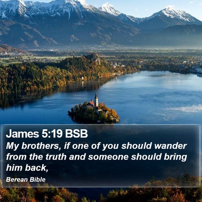 James 5:19 BSB Bible Verse Image