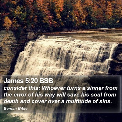 James 5:20 BSB Bible Verse Image