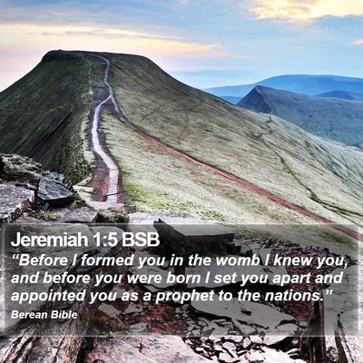 Jeremiah 1:5 BSB Bible Verse Image