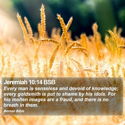 Jeremiah 10:14 BSB Bible Verse Image