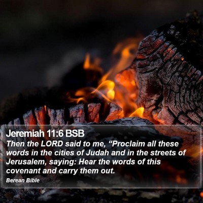 Jeremiah 11:6 BSB Bible Verse Image