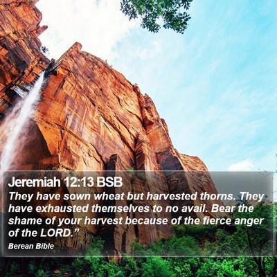 Jeremiah 12:13 BSB Bible Verse Image