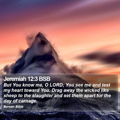 Jeremiah 12:3 BSB Bible Verse Image