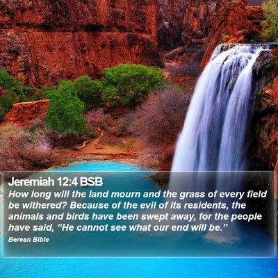 Jeremiah 12:4 BSB Bible Verse Image
