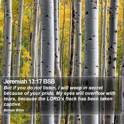 Jeremiah 13:17 BSB Bible Verse Image